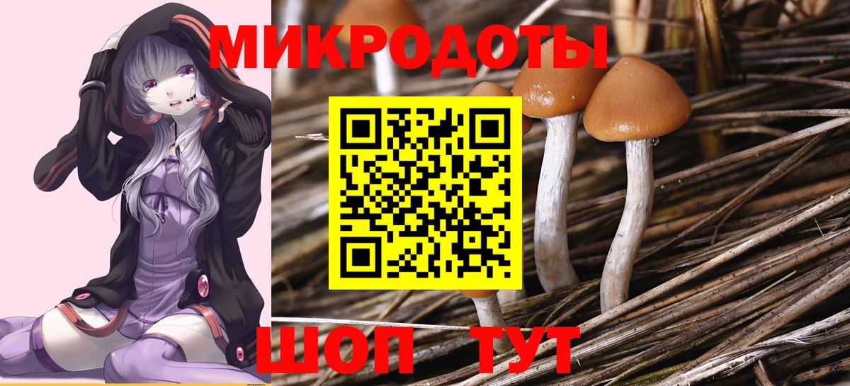 Псилоцибиновые грибы MAGIC MUSHROOMS Лабытнанги