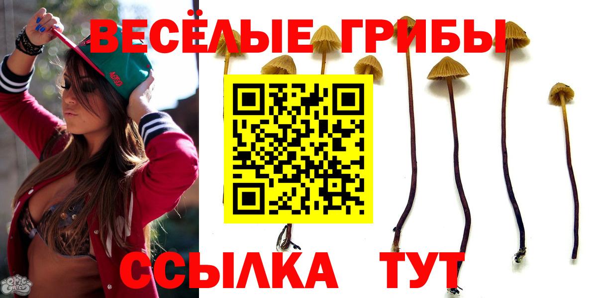 Псилоцибиновые грибы MAGIC MUSHROOMS  Псилоцибиновые грибы Psilocybine cubensis  Лабытнанги  Вход с VPN 